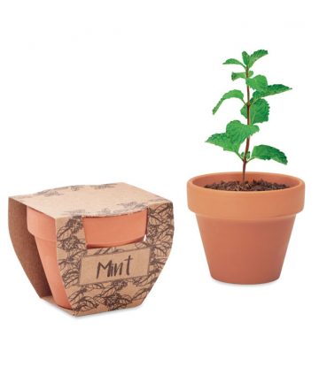 MINT POT Terrakotta ültető, menta