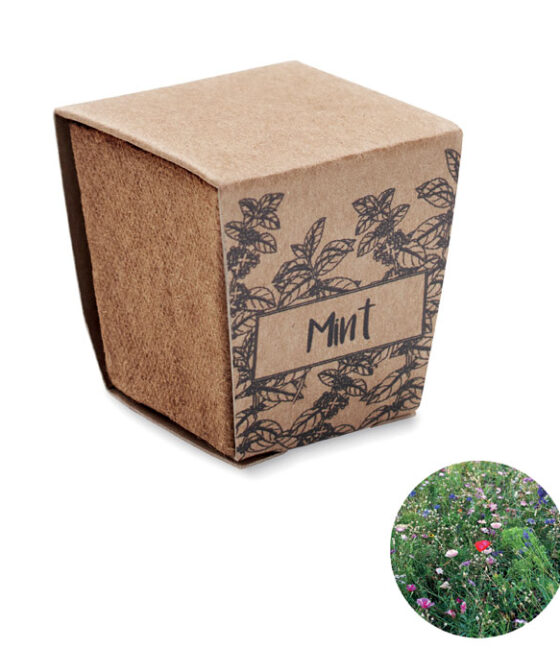 MINT KIT Menta ültetőkészlet