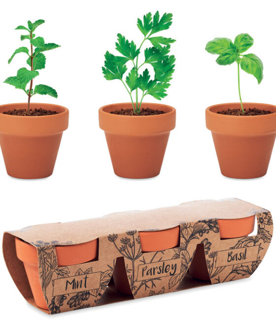 FLOWERPOT 3 r. terrakotta ültető szett