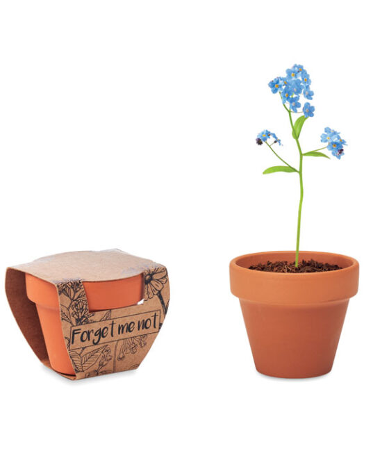FORGET ME NOT Terrakotta ültető, nefelejcs