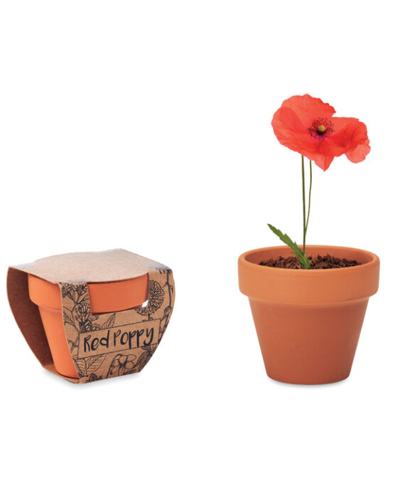 RED POPPY Terrakotta ültető, pipacs