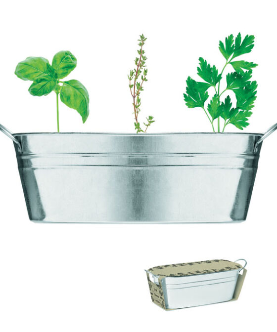 MIX SEEDS Cink edény 3 féle növénymaggal