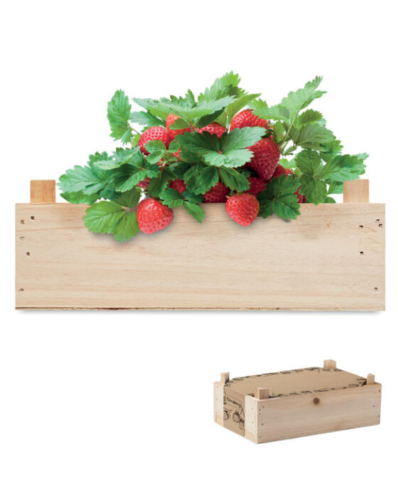 STRAWBERRY Epertermesztő készlet, faláda