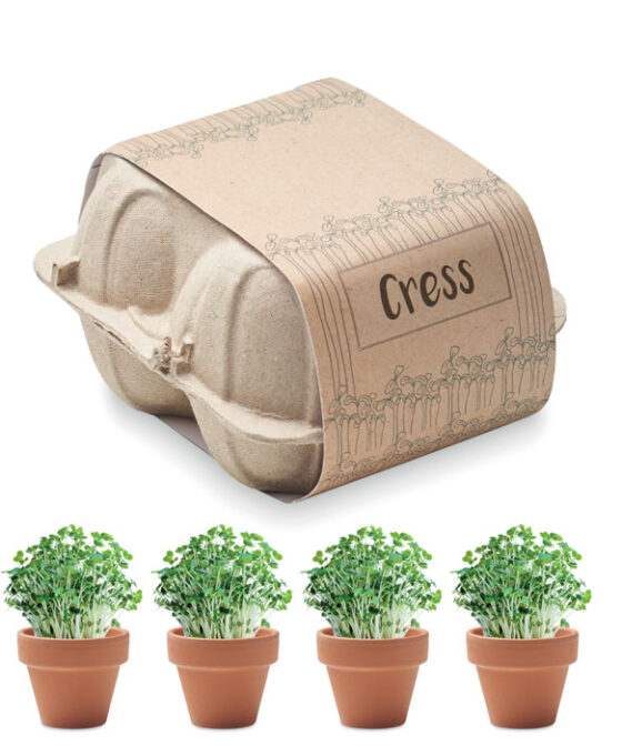 CRESS Tojásos doboz ültető készlet