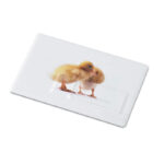 MEMORAMA Creditcard. USB flash 4GB - Image 2