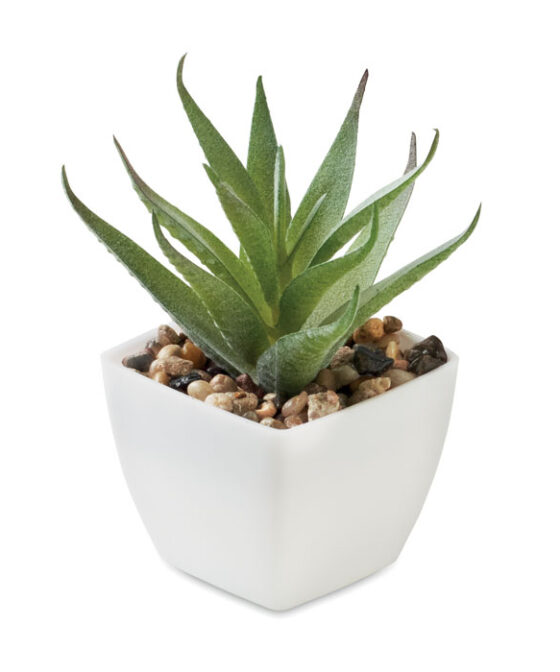 ARTILOE Mini műnövény, aloe ferox mill