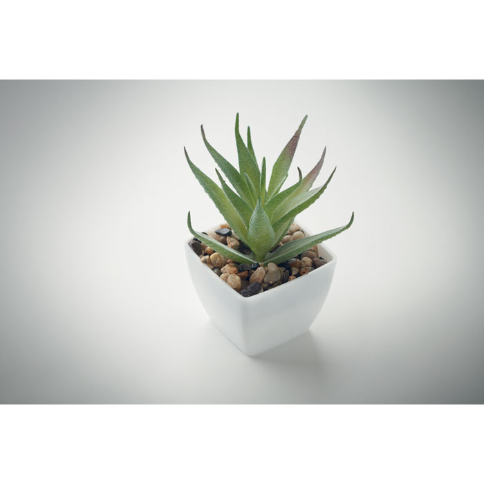 ARTILOE Mini műnövény, aloe ferox mill - Image 4