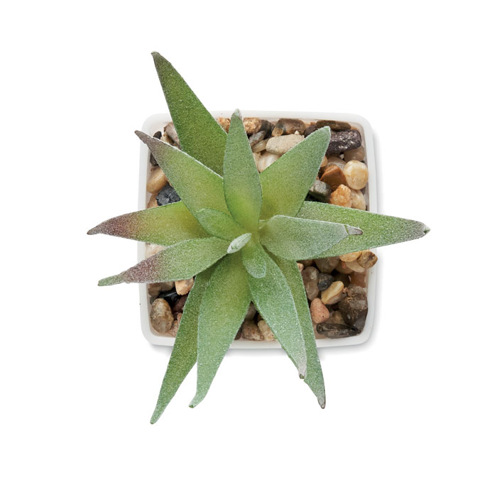 ARTILOE Mini műnövény, aloe ferox mill - Image 3