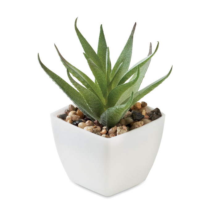ARTILOE Mini műnövény, aloe ferox mill