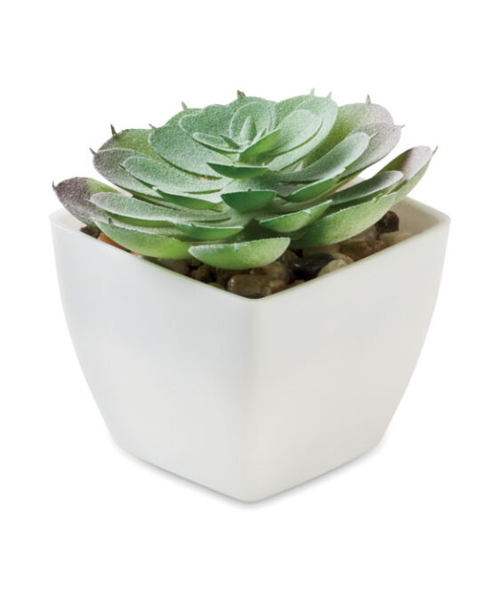 ARTIECHE Mini műnövény, echeveria