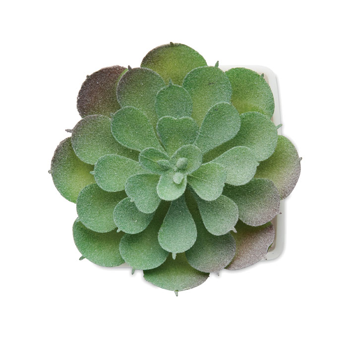 ARTIECHE Mini műnövény, echeveria - Image 3