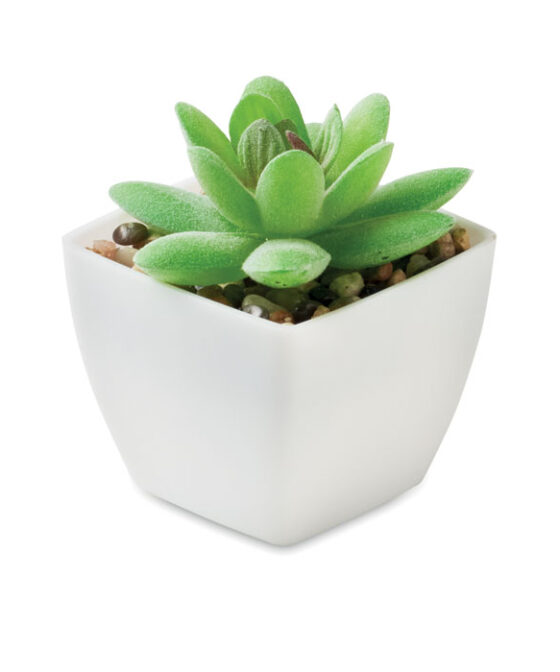 ARTIGRAP Mini műnövény, graptopetalum