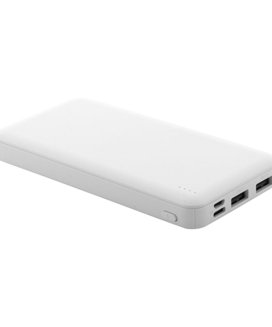 RABS power bank